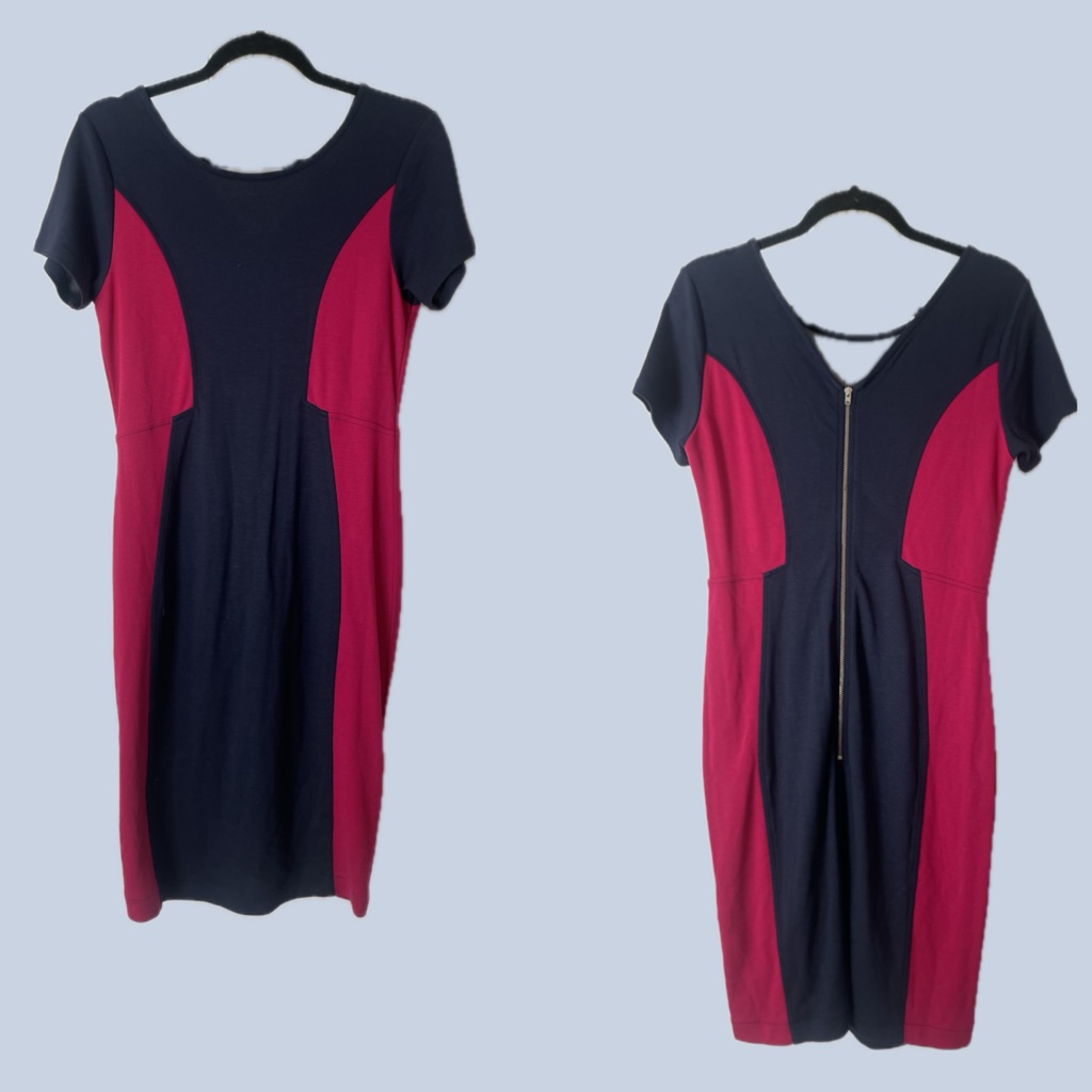 French Connection Bodycon Dress W/ Color Blocking - Red & Navy